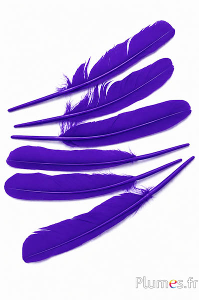 Cigno - 30-33 cm - viola